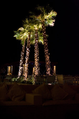 Dead_Sea27