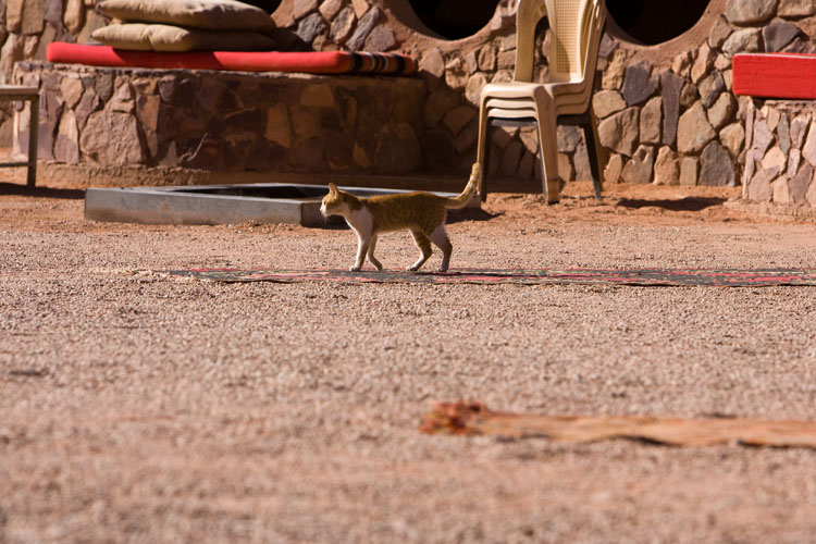 Wadi_Rum_09